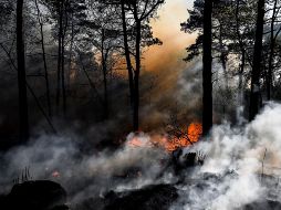 Jalisco no logra controlar la problemática de los incendios forestales. EFE/ ARCHIVO