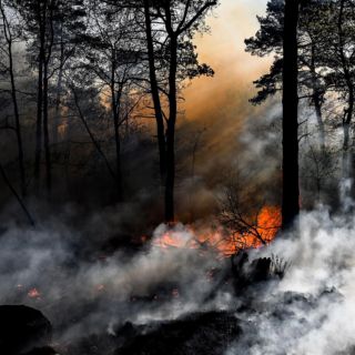 ¡No paran! Combaten tres incendios forestales en Zapopan