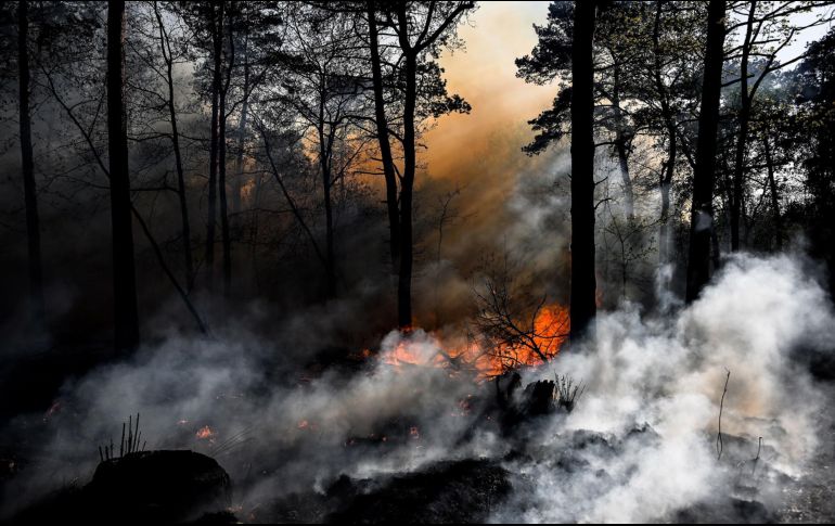 Jalisco no logra controlar la problemática de los incendios forestales. EFE/ ARCHIVO