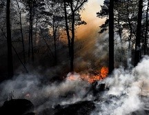 Jalisco no logra controlar la problemática de los incendios forestales. EFE/ ARCHIVO