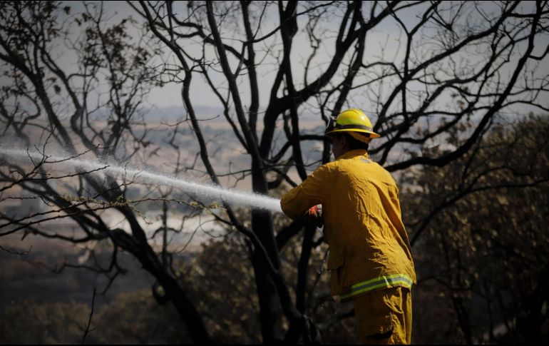 El seguimiento al combate de los incendios se puede consultar en la cuenta de Twitter @SemadetJal. EL INFORMADOR/ ARCHIVO