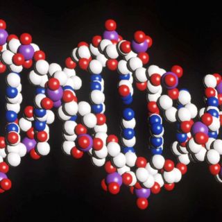 ADN: La mujer detrás del descubrimiento central
