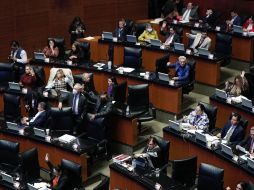 El dictamen, aprobado por legisladores de todos los partidos, fue turnado a la Mesa Directiva de la Cámara de Diputados. SUN/ARCHIVO