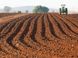 Financiera Rural tiene un nivel de cartera vencida que el Gobierno ha considerado inmanejable. EL INFORMADOR/Archivo