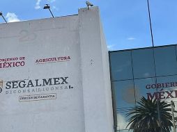 Suman 11 personas vinculadas a proceso relacionadas con el desfalco multimillonario al patrimonio de Segalmex. SUN/ARCHIVO