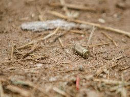 La violencia sigue imparable en Veracruz, escenario de cruentos enfrentamientos y homicidios. EL INFORMADOR/ARCHIVO