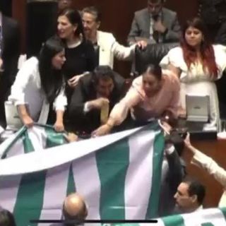 Zafarrancho en el Senado tras rechazar nombramiento de comisionado del INAI