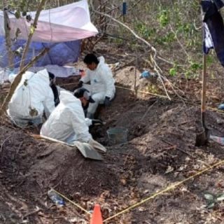 Hallan 26 cuerpos en fosas clandestinas en Colima