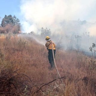 Combaten tres incendios cercanos a Carretera a Nogales