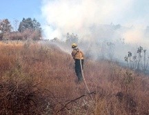 Hay tres incendios activos cercanos a la Cerretera a Nogales. ESPECIAL