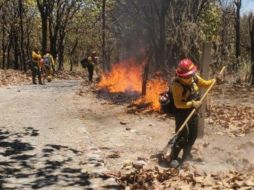 Debido a la temporada de calor se registran más incendios forestales. ESPECIAL