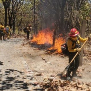 Incendios forestales: Se registran seis más, uno en el ANP de la Barranca de Huentitán
