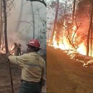 Muere brigadista de 22 años combatiendo el fuego en Tapalpa