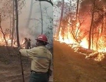 Se suman decenas de brigadistas para combatir un incendio en Tapalpa. ESPECIAL