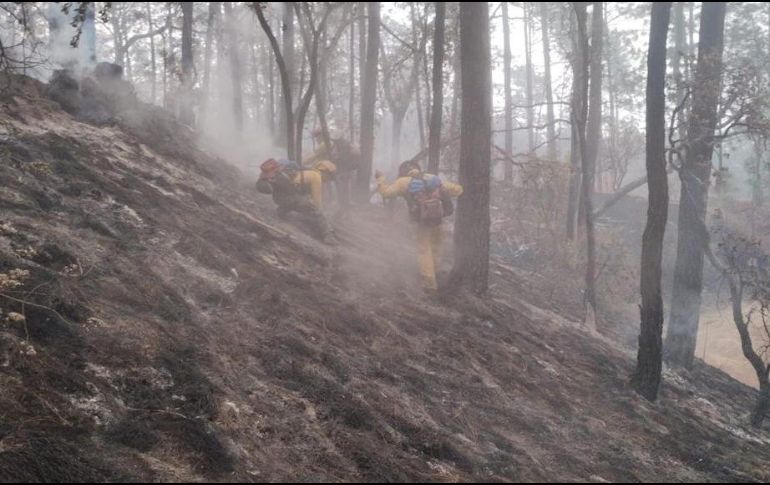 El incendio ameritó la avacuación de 260 personas y la emisión de una alerta atmosférica. ESPECIAL