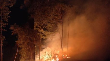En el incendio forestal en el municipio de Concepción de Buenos Aires hay 70 brigadistas. ESPECIAL
