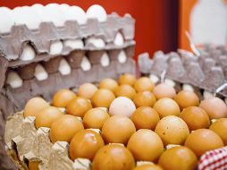 Jalisco es líder en la producción nacional de huevo, con 668 mil 283 toneladas en 2022, seguido de Puebla, que destaca en segundo lugar con 461 mil toneladas. EL INFORMADOR/ C. Zepeda