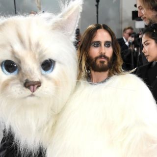 Jared Leto asiste a la Met Gala 2023 disfrazado de gato, en honor a "Choupette"