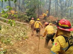 El incendio en Tapalpa comenzó el pasado viernes y fue extinguido este lunes. ESPECIAL