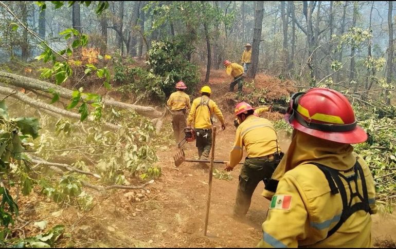 El incendio en Tapalpa comenzó el pasado viernes y fue extinguido este lunes. ESPECIAL