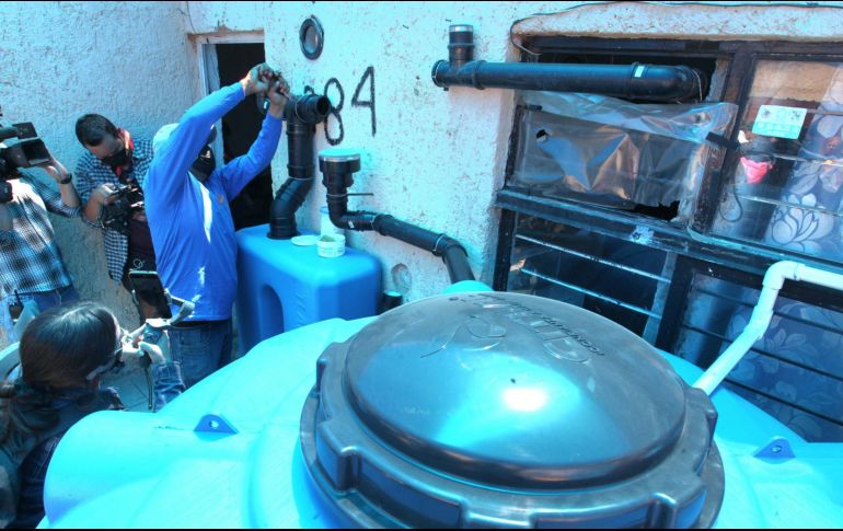 Los nidos de agua. EL INFORMADOR/ ARCHIVO