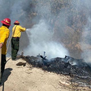 Hay al menos ocho incendios forestales activos en Jalisco