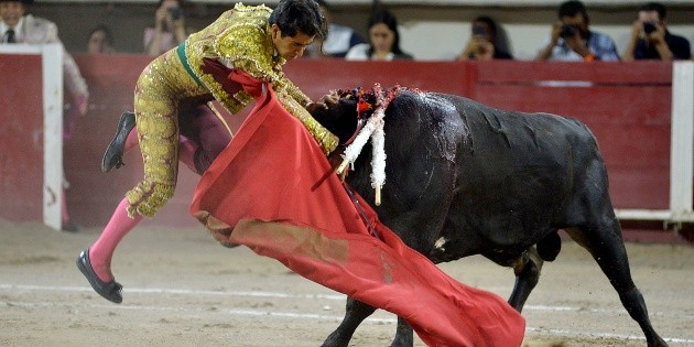 Joselito Adame: As&iacute; fue la salvaje cornada que vivi&oacute; el torero en pleno ruedo (VIDEO)