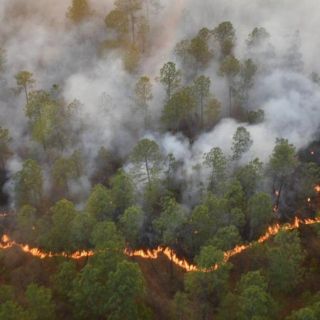 Más de 500 brigadistas combaten incendio forestal en Atemajac de Brizuela