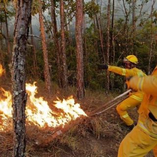 Las impactantes imágenes del incendio en Atemajac de Brizuela (VIDEO)