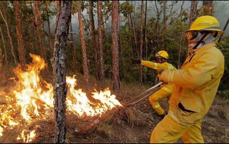 El incendio en  en el paraje Las Guásimas en los municipios de Chiquilistlán y Atemajac de Brizuela inició el domingo 30 de abril y continúa. ESPECIAL