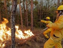 El incendio en  en el paraje Las Guásimas en los municipios de Chiquilistlán y Atemajac de Brizuela inició el domingo 30 de abril y continúa. ESPECIAL
