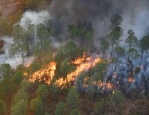 En la temporada de estiaje se registran cientos de incendios forestales; este año van 700 en Jalisco. ESPECIAL