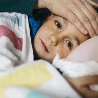 ¿Qué es la Rickettsia o "fiebre manchada" y cómo se contagia?