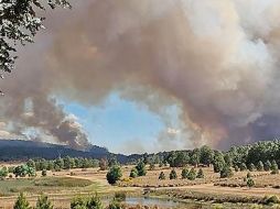 Este año ha sido difícil en cuestión de incendios forestales. ESPECIAL