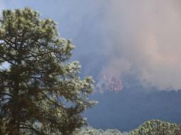 Los bosques de Jalisco están en llamas. ESPECIAL
