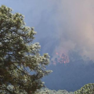 Alertan por nueva contingencia ambiental en la metrópoli; Santa Fe, la zona más contaminada