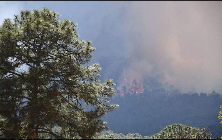 Los bosques de Jalisco están en llamas. ESPECIAL
