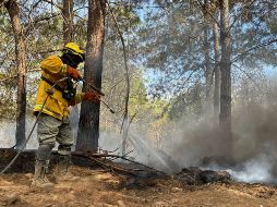 La Secretaría de Medio Ambiente y Desarrollo Territorial activó la alerta atmosférica a razón de incendios forestales que se atienden. TWITTER / @PCJalisco