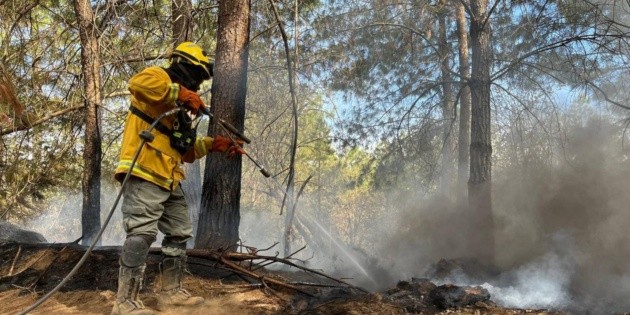 Contaminación Jalisco hoy: Activan alerta atmosférica para diversos ...