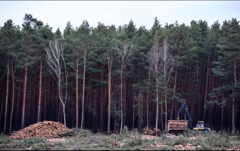 Lillian se encontraba a unos 60 kilómetros de la ciudad más cercana. EFE/ARCHIVO