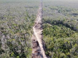 El Tren Maya ha sido un proyecto bastante criticado.SUN/ ARCHIVO