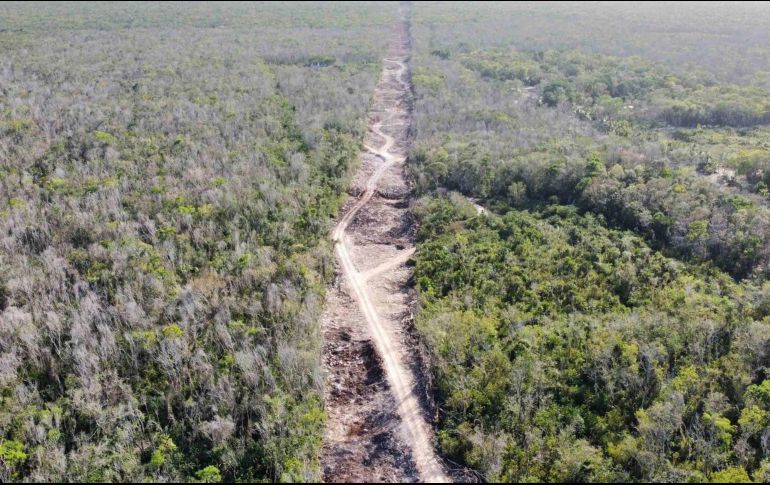 El Tren Maya ha sido un proyecto bastante criticado.SUN/ ARCHIVO