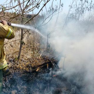 Jalisco registra 94 incendios forestales en una semana