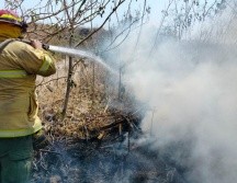 Jalisco se mantiene en primer lugar nacional en superficie afectada por incendios, con 34 mil 623.44 hectáreas. ESPECIAL/Semadet Jalisco