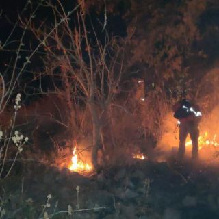 Activan alerta atmosférica en Mixtlán por incendio en el cerro del Crestón