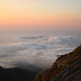 Lugares en Jalisco para celebrar a mamá