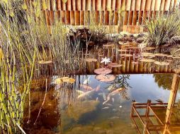 Celebra con mamá en Valle de Bravo y visita Solar. ESPECIAL/SOLAR PARAÍSO LÚDICO.