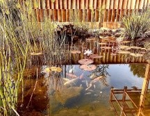 Celebra con mamá en Valle de Bravo y visita Solar. ESPECIAL/SOLAR PARAÍSO LÚDICO.