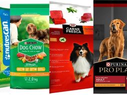 Profeco analizó diversas marcas de croquetas para perros. ESPECIAL