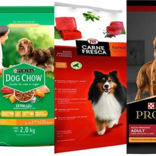 ¿Cómo elegir la mejor marca de croquetas para perros? Profeco te dice